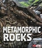 Ava Sawyer - Metamorphic Rocks