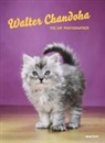 Walter Chandoha, David La Spina, Walter Chandoha - The Cat Photographer