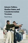 Peter Henne, Peter (University of Vermont) Henne, Henne Peter - Islamic Politics, Muslim States, and Counterterrorism Tensions