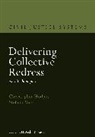 Christopher Hodges, Christopher Voet Hodges, Professor Christopher (University of Oxfor Hodges, Professor Christopher (University of Oxford Hodges, Professor Christopher (University of Oxford) Hodges, Professor Dr Stefaan (KU Leuven Voet... - Delivering Collective Redress