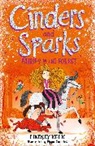 Lindsey Kelk, Kelk Lindsey, Pippa Curnick - Fairies in the Forest