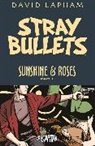 Steve Bissette, Cullen Bunn, Nancy A. Collins, David Lapham, Devin Grayson, Joe R. Lansdale... - Stray Bullets: Sunshine & Roses Volume 1