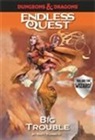 Matt Forbeck - Dungeons & Dragons Endless Quest: Big Trouble
