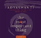 Adyashanti - Most Important Thing, Volume 2 (Audio book)