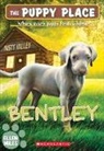 Ellen Miles - Bentley