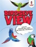 Coloring Bandit - Birdseye View