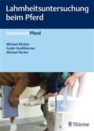 Michael Becker, Michae Röcken, Michael Röcken, Guid Stadtbäumer, Guido Stadtbäumer - Lahmheitsuntersuchung beim Pferd