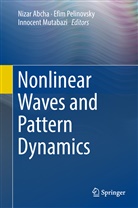 Nizar Abcha, Innocent Mutabazi, Efim N. Pelinovski, Efi Pelinovsky, Efim Pelinovsky, Efim N. Pelinovsky - Nonlinear Waves and Pattern Dynamics