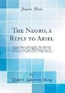 Robert Anderson Young - The Negro, a Reply to Ariel