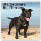 Not Available (NA) - Staffordshire Bull Terriers 2019 Calendar