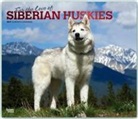 Not Available (NA) - For the Love of Siberian Huskies 2019 Calendar