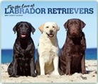 Not Available (NA) - For the Love of Labrador Retrievers 2019 Calendar