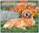 Not Available (NA) - For the Love of Golden Retrievers 2019 Calendar
