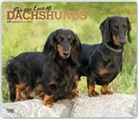 Not Available (NA) - For the Love of Dachshunds 2019 Calendar