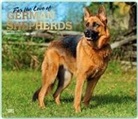 Not Available (NA) - For the Love of German Shepherds 2019 Calendar