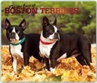 Not Available (NA) - For the Love of Boston Terriers 2019 Calendar