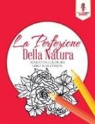 Coloring Bandit - La Perfezione Della Natura
