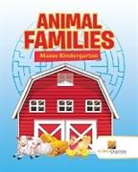 Activity Crusades - Animal Families