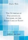 Wilfrid John Hall - The Outbreak of Pseudococcus Sacchari, on the Sugar Cane of Egypt (Classic Reprint)