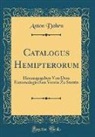 Anton Dohrn - Catalogus Hemipterorum