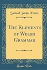 Samuel James Evans - The Elements of Welsh Grammar (Classic Reprint)