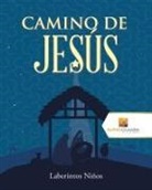 Activity Crusades - Camino De Jesús