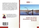 Georges Guelang - Gestion des plaines d'inondation dans la ville de Douala