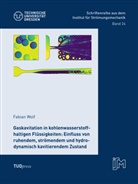 Fabian Wolf - Gaskavitation in kohlenwasserstoffhaltigen Flüssigkeiten: Einfluss von ruhendem, strömendem und hydrodynamisch kavitierendem Zustand