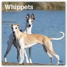 Not Available (NA) - Whippets 2019 Calendar