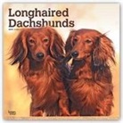 Not Available (NA) - Longhaired Dachshunds 2019 Calendar