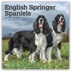Not Available (NA) - English Springer Spaniels 2019 Calendar