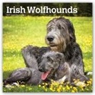 Not Available (NA) - Irish Wolfhounds 2019 Calendar