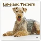 Not Available (NA) - Lakeland Terriers 2019 Calendar