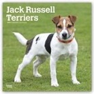 Not Available (NA) - Jack Russell Terriers 2019 Calendar
