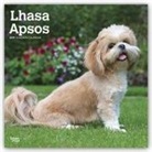 Not Available (NA) - Lhasa Apsos 2019 Calendar