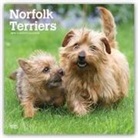 Not Available (NA) - Norfolk Terriers 2019 Calendar