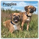 Not Available (NA) - Puggles 2019 Calendar