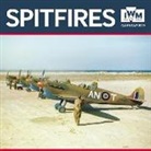 Tree Flame - Imperial War Museum - Spitfires Wall Calendar 2019 (Art Calendar)