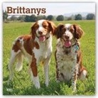 Not Available (NA) - Brittanys 2019 Calendar
