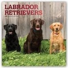 Not Available (NA) - Labrador Retrievers 2019 Calendar