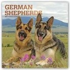 Inc Browntrout Publishers, Not Available (NA) - German Shepherds 2019 Calendar
