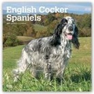 Not Available (NA) - English Cocker Spaniels 2019 Calendar