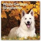 Not Available (NA) - White German Shepherds 2019 Calendar