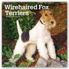 Not Available (NA) - Wirehaired Fox Terriers 2019 Calendar