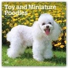 Not Available (NA) - Toy and Miniature Poodles 2019 Calendar