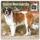 Not Available (NA) - Saint Bernards 2019 Calendar