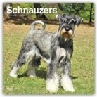 Not Available (NA) - Schnauzers 2019 Calendar