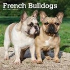 Inc Browntrout Publishers, Not Available (NA) - French Bulldogs 2019 Calendar