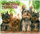 Not Available (NA) - For the Love of Yorkshire Terriers 2019 Calendar