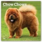 Not Available (NA) - Chow Chows 2019 Calendar